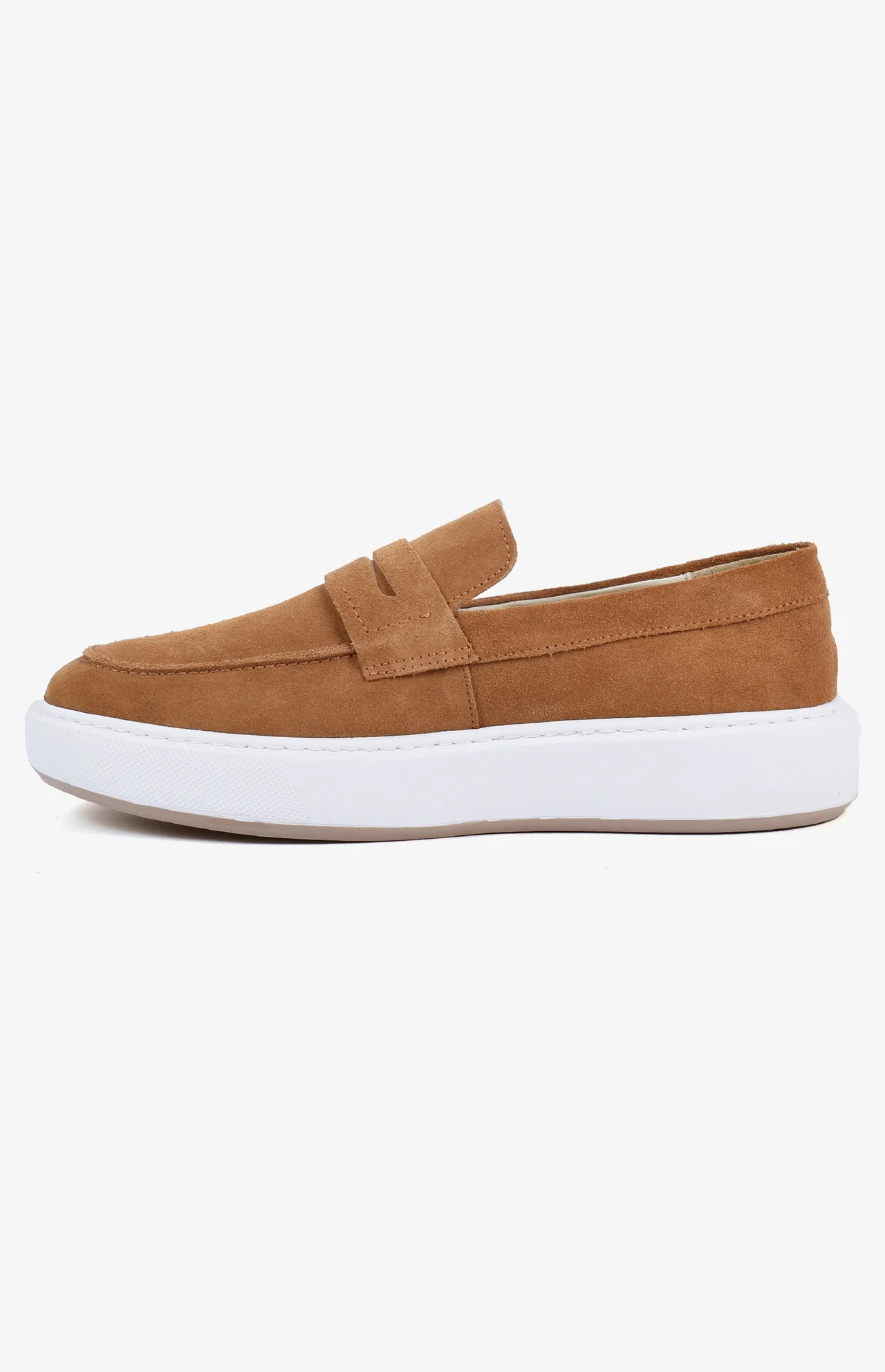 2540_camel_daim