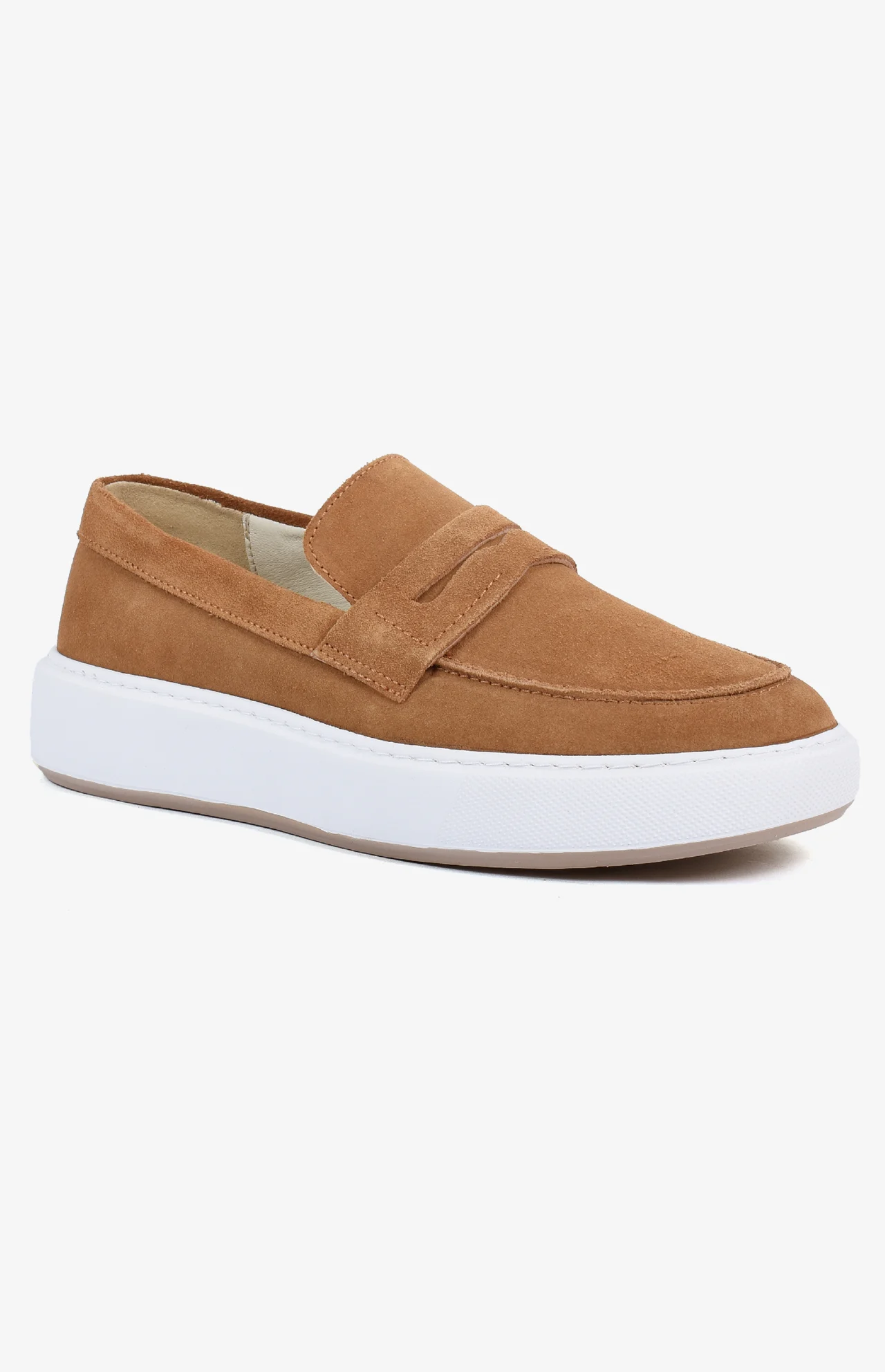 2540_camel_daim1