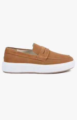 2540_camel_daim2