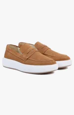 2540_camel_daim3