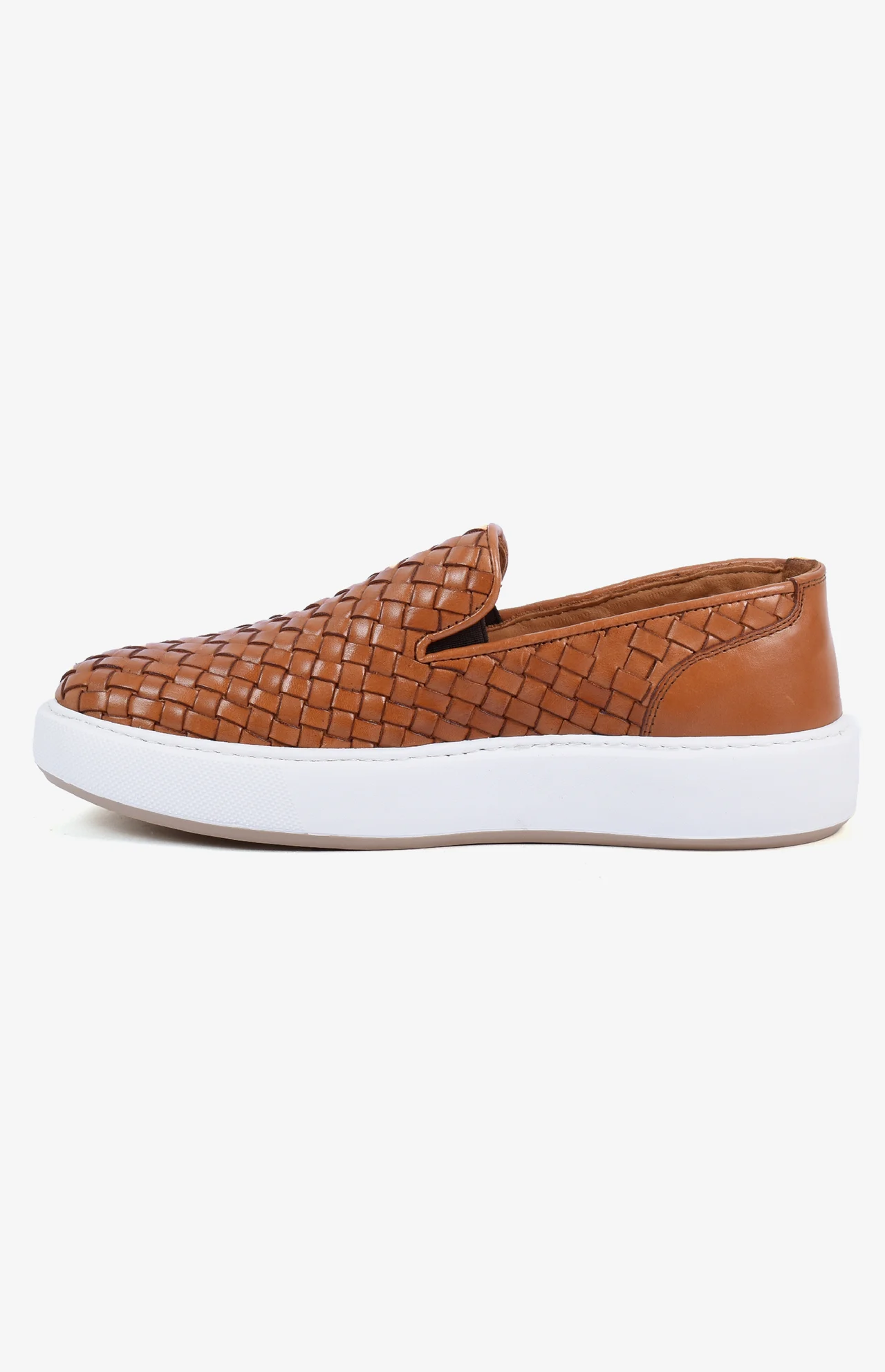 2550_camel