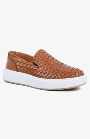 2550_camel1