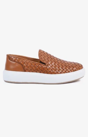 2550_camel2