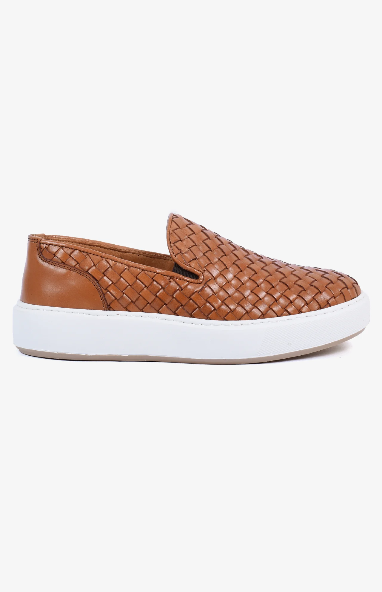 2550_camel2