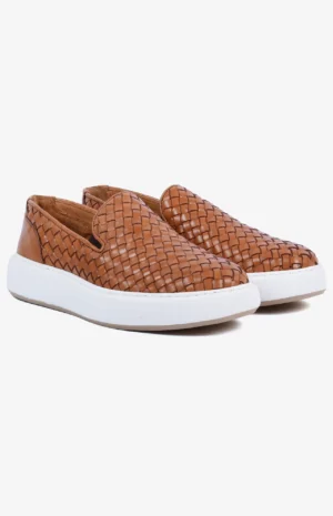 2550_camel3