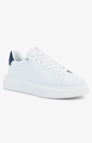 2580_bl_bleu2