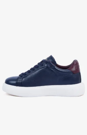 2580_bleu