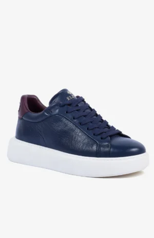2580_bleu1