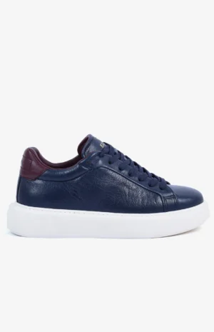 2580_bleu2