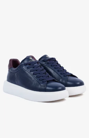 2580_bleu3