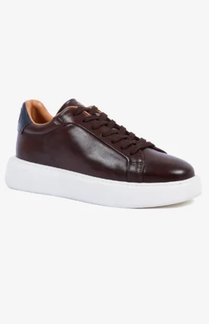 2580_marron1