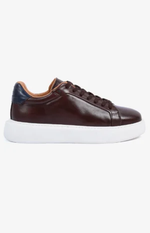 2580_marron2