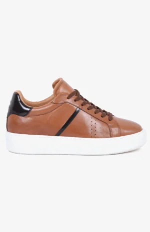 2580_marron2