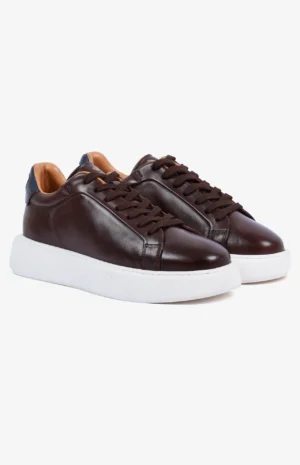 2580_marron3