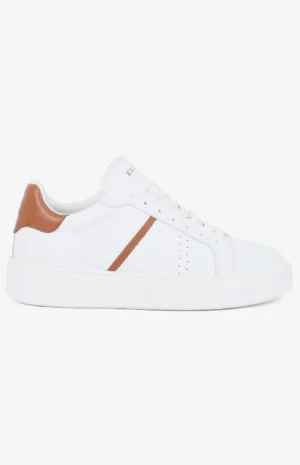 2581_blanc