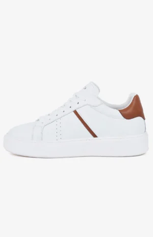 2581_blanc2