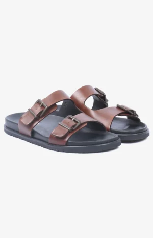 2669-marron1