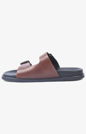 2669-marron2